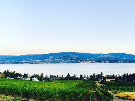 Summerhill Estate House Panzió Kelowna Kültér fotó