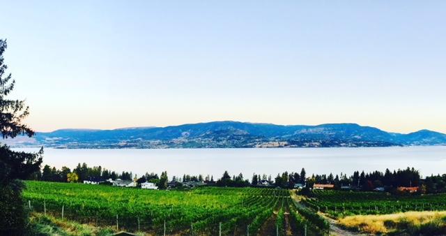 Summerhill Estate House Panzió Kelowna Kültér fotó