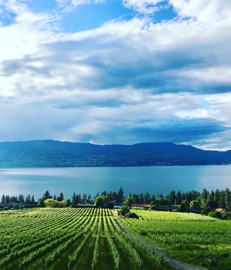 Summerhill Estate House Panzió Kelowna Kültér fotó